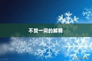 不赞一词的解释