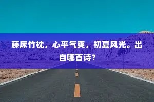惊人惟间道，老我是孤城。的意思及出处