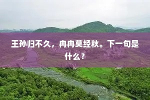 驿舍荒洲横极浦，渔舠远火乱栖鸿。全诗是什么？