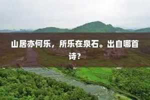 问翁为谁莫可推，或云葛令之官时。的意思及出处