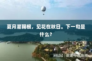 破茧成蝶，从心出发，以行践梦