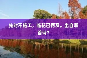 徂岁已匆匆，何人似此翁。上一句是什么？
