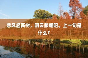 山回水转不知远，手中红螺岂须劝。出自哪首诗？