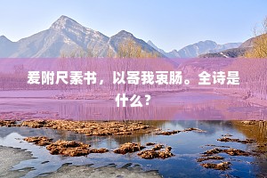 夜未央，心归宁 —— 放下纷扰，拥抱明日的曙光