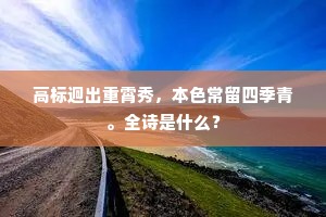 引言，温柔之盾，锋芒之铠