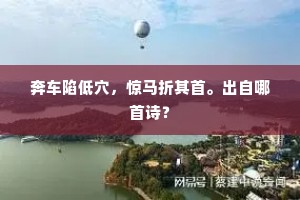 一拳欲掣丝先断，百计还谋媒别通。出自哪首诗？