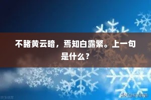 相聚易逝,相知难续,在时光洪流中的断章残篇 相聚易逝,相知难续,在时光洪流中的断章残篇