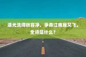 赌尽青春，无悔亦殇，爱的赌注与自我救赎
