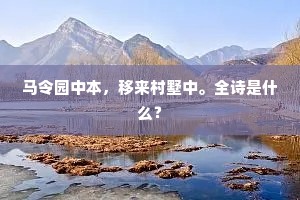 五岁小儿初学涉，绝艺亦知天所赋。上一句是什么？