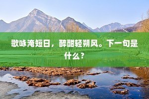 武阳盛气盖全燕，寄区狡谋踣二虏。的释义
