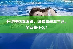 独来独往的释义