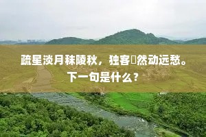 虎变鹰扬看异时，经营一饱常细事。的释义