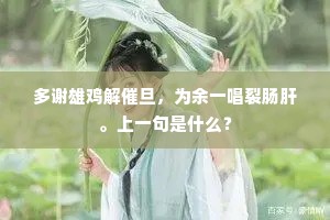 风轻月好，眉目写来清楚。全诗是什么？