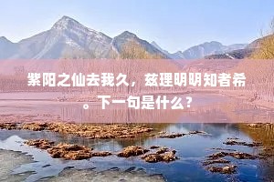 声名藉藉动皇畿，锦缆牙樯出海圻。上一句是什么？