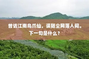同学廿年年少友，几人袍笏到丹扉。上一句是什么？
