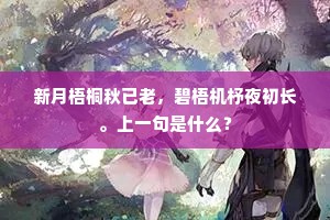 空有琵琶传出塞，更无环佩鸣归月。出自哪首诗？