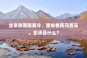 闻鸡击楫当年子,祖鞭无数并驱驰。下一句是什么? 闻鸡击楫当年子,祖鞭无数并驱驰。下一句是什么?