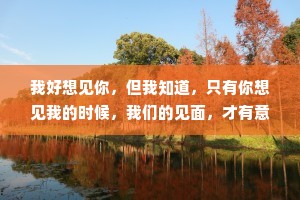 我好想见你，但我知道，只有你想见我的时候，我们的见面，才有意义。