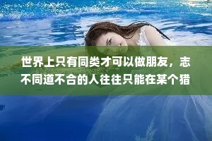 世界上只有同类才可以做朋友，志不同道不合的人往往只能在某个猎奇的时间里做一阵子开心的同伴。被时间的洪水淘过，最终仍然堆在一起的，一定是同样材质的小石头。