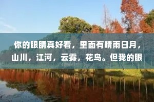 你的眼睛真好看，里面有晴雨日月，山川，江河，云雾，花鸟。但我的眼睛更好看，因为里面有你。