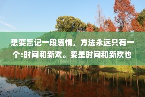 想要忘记一段感情，方法永远只有一个:时间和新欢。要是时间和新欢也不能让你忘记一段感情,原因只有一个:时间不够长，新欢不够好。