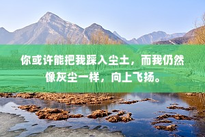 你或许能把我踩入尘土，而我仍然像灰尘一样，向上飞扬。