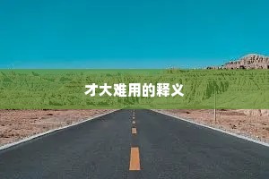 才大难用的释义