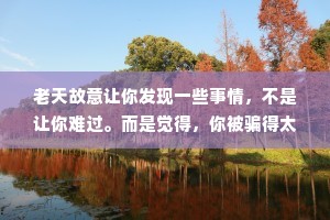 老天故意让你发现一些事情，不是让你难过。而是觉得，你被骗得太可怜了，才偷偷暗示你。