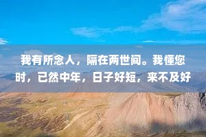 我有所念人，隔在两世间。我懂您时，已然中年，日子好短，来不及好好告别;日子又好长，有一辈子的时间去怀念。