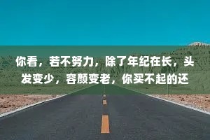 你看，若不努力，除了年纪在长，头发变少，容颜变老，你买不起的还是买不起，你喜欢的人还是与你无关。