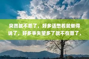 突然就不怨了，好多话憋着就懒得说了，好多事失望多了就不在意了，不想、不说、不期待，看淡了，也看透了。雨太大了，撑伞也没用啊。