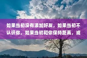 如果当初没有添加好友，如果当初不认识你，如果当初和你保持距离，或许就没有后面的故事，谢谢你的出现让我爱过、快乐过、幸福过，也痛苦过，如果可以重来一次，我不想再认识你了。
