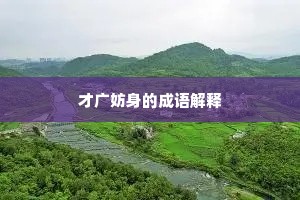 才广妨身的成语解释