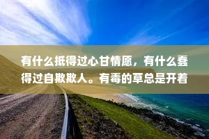 有什么抵得过心甘情愿，有什么蠢得过自欺欺人。有毒的草总是开着最迷人的花，伤害你的人总是说着最爱你的话。
