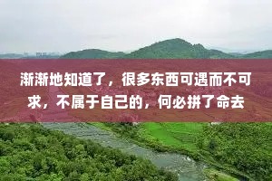 渐渐地知道了，很多东西可遇而不可求，不属于自己的，何必拼了命去在乎。你在意什么，什么就会折磨你，期待是所有痛苦的根源。