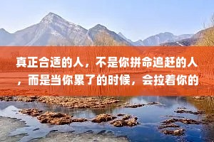真正合适的人，不是你拼命追赶的人，而是当你累了的时候，会拉着你的手跟你一起走的人。