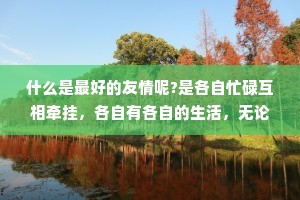 什么是最好的友情呢?是各自忙碌互相牵挂，各自有各自的生活，无论在哪里，需要的时候一回头就能找到对方，愿你三冬暖，愿你春不寒，愿你天黑有灯，下雨有伞愿你一路上有良人相伴。