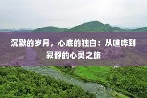 沉默的岁月，心底的独白：从喧哗到寂静的心灵之旅