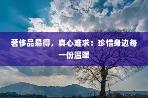 奢侈品易得，真心难求：珍惜身边每一份温暖