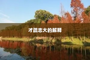 才疏志大的解释