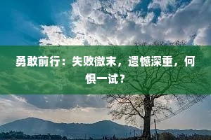 勇敢前行：失败微末，遗憾深重，何惧一试？