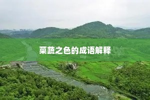 菜蔬之色的成语解释