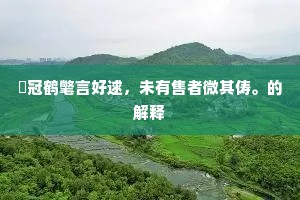 跨入白云深处游，直得通身无影象，的释义