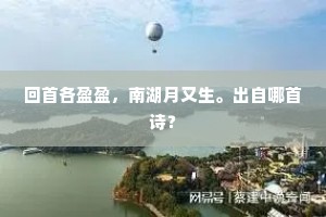 惟能抱永正，是岂其用卿。的解释