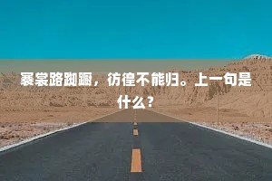 逐月虽未及，星辰亦归宿，人生征途的璀璨启示