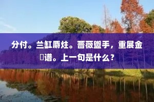 摒弃浮躁，深耕自我，在喧嚣中寻得宁静的力量