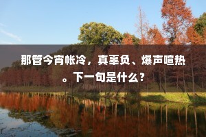 断袖之宠的成语解释