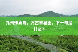 仲尼久已往，郊薮谁能留。全诗是什么？