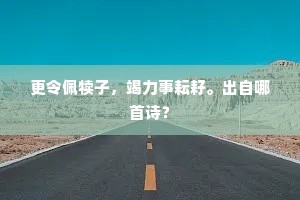收拾发挥天所属，公馀不可以它妨。全诗是什么？