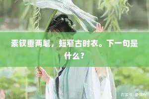 鲁侯不得辜风景，沂水年年有暮春。上一句是什么？
